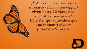 monarcas